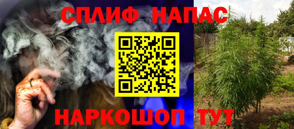 Шишки марихуана план  МАРИХУАНА план  Шишки марихуана Ganja  Усть-Илимск  Вход с VPN 